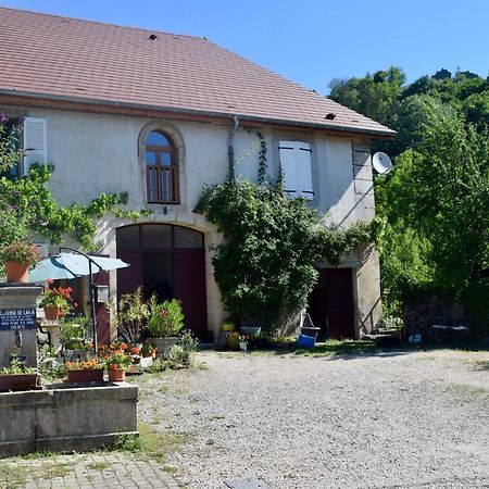 Spacious Apartment In Old Farm Close To Lac De Vouglans La Tour-du-Meix Exterior photo